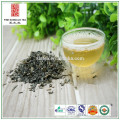 China té verde El Taj calidad 9371 con fabricante de té estándar de la UE